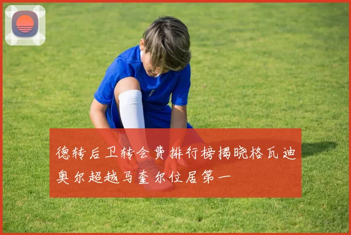 德转后卫转会费排行榜揭晓格瓦迪奥尔超越马奎尔位居第一