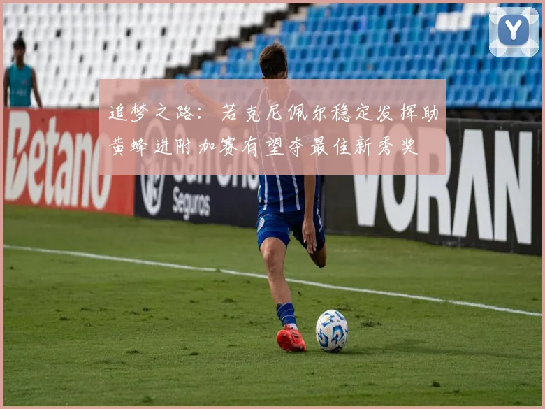 追梦之路：若克尼佩尔稳定发挥助黄蜂进附加赛有望夺最佳新秀奖
